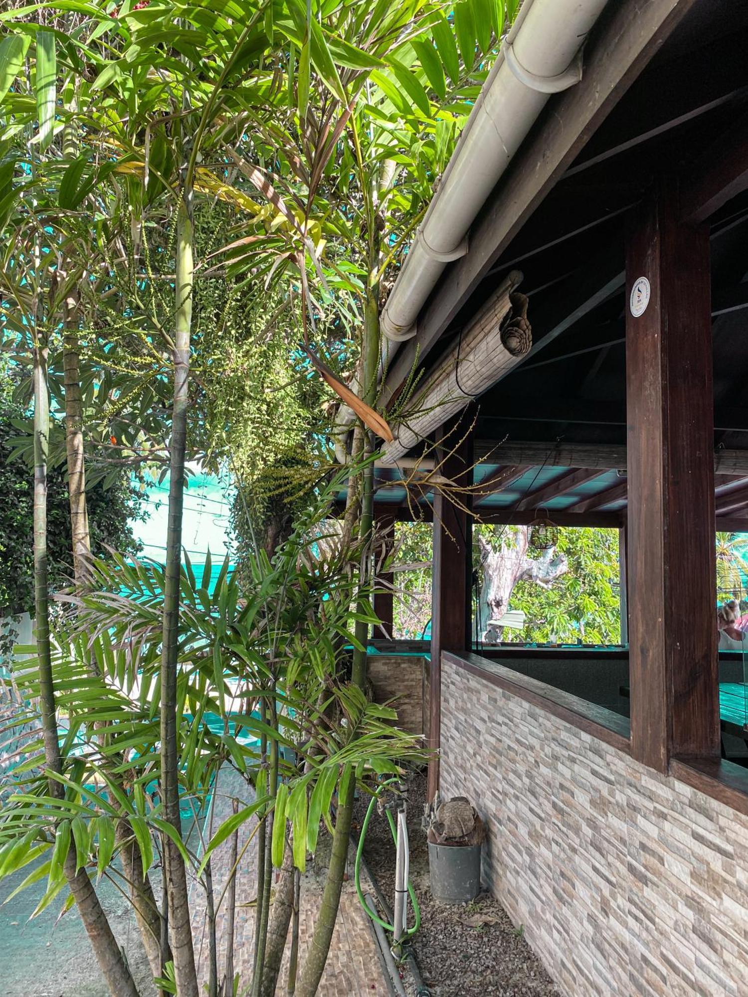 Divers Lodge Guest House Бо-Валлон Екстер'єр фото